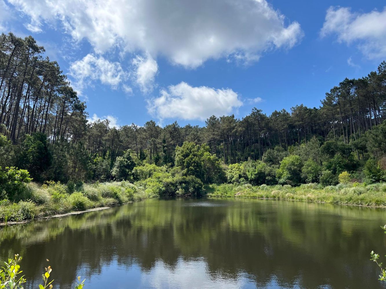 lago na tapada de monserrate