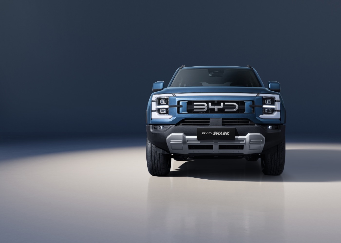 frente da BYD Shark