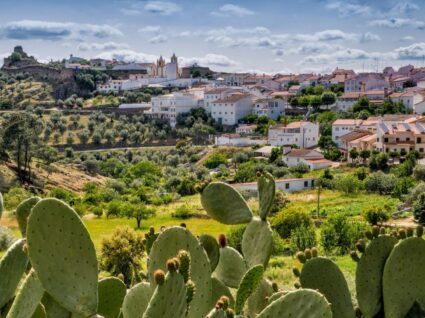Vista de Alegrete