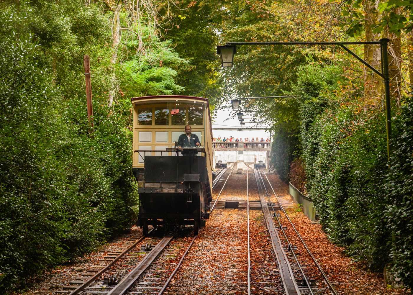 elevador