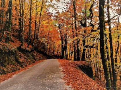 Gerês no outono