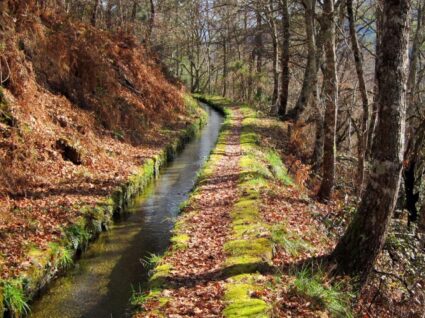 levada de piscaredo