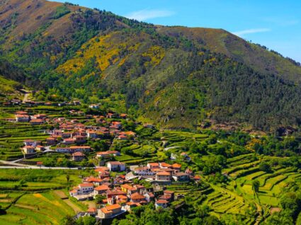 vista de sistelo